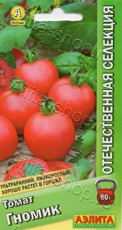 1029
