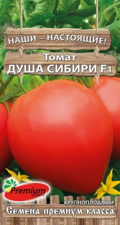 Душа Сибири