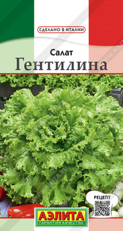 Салат Гентилина аэлита