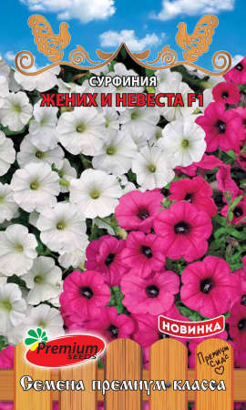 жених