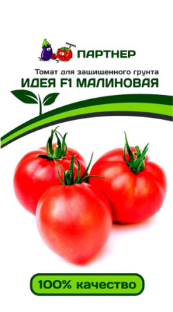 идея малиовая