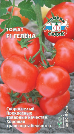 tomat_gelena_f1