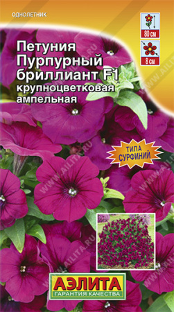 IMG_3098