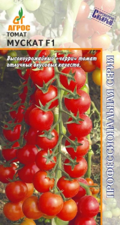Мускат