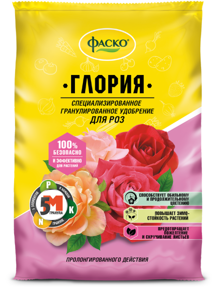 глория