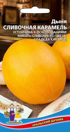 dynya-slivochnaya-karamel