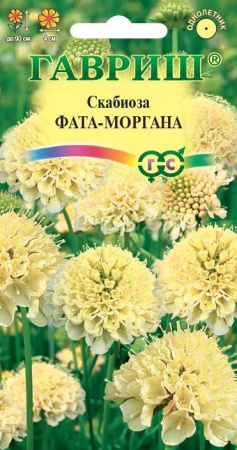 skabioza_fata-morgana_mini4