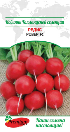 2n9zffm9ucd2r80ilqssalno2qe8dfvp