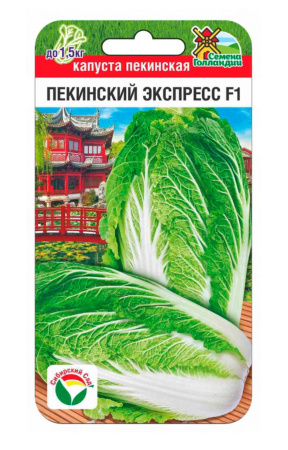 Пекинский Эксперсс