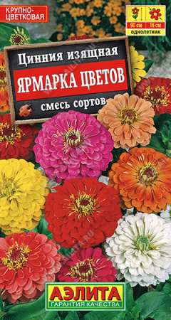 Цинния Ярмарка цветов аэлита