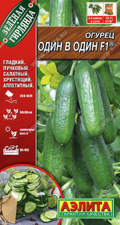 Один в один