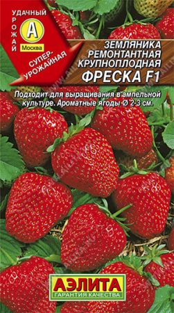 фреска