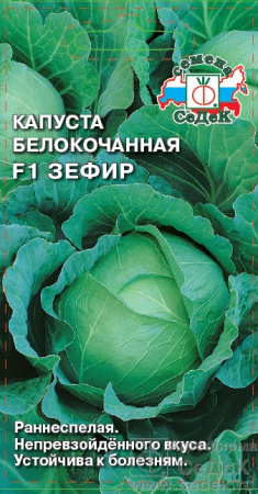81