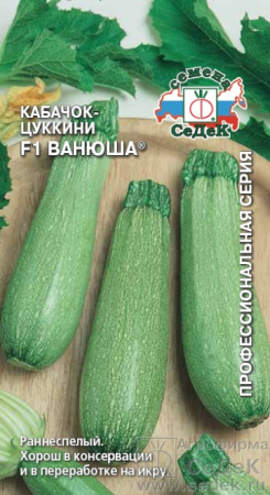 kabachok_vanyusha_f1