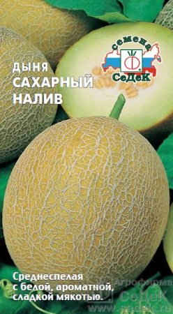 dynya_sakharnyy_naliv
