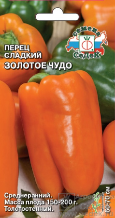 681