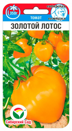 золотой лотос