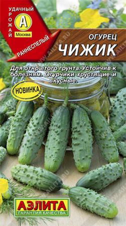 Чижик