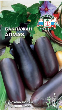 baklazhan_almaz