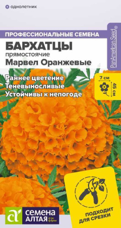 8vh11x0thfc2xnp1lp8zcwltqe2i7n6s