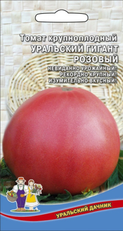 tomat-krupnoplodnyy-uralskiy-gigant-rozovyy