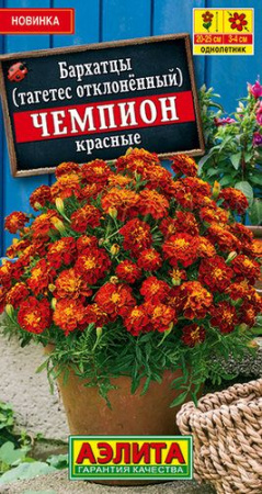 2smkibrg46393pfya7eoeraw3cxo33ib