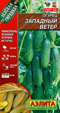 Огурец Западный ветер аэлита