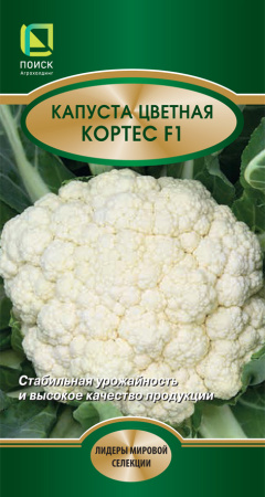 kapusta_cvet_zolotaya_kortes_f1