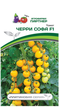 черри софа