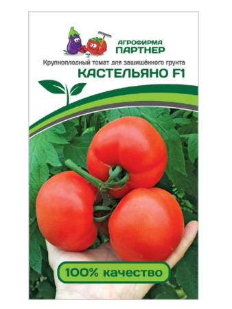 кастельяно