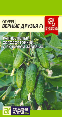 2jytvp2dy0uc86ipczlduwubftzp0b08