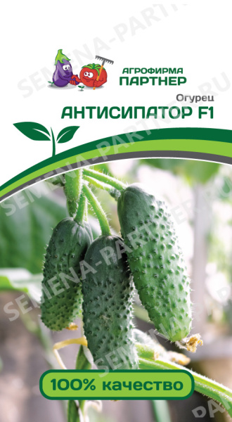 антиси