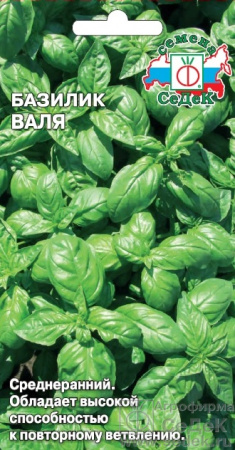 bazilik_valya