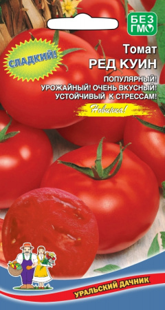 tomat-red-kuin-krasnaya-koroleva