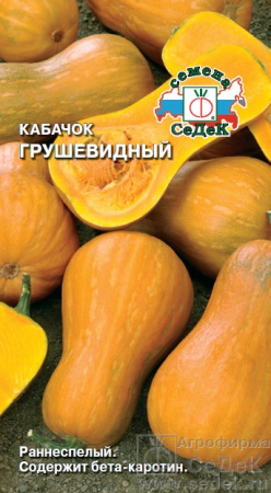 kabachok_grushevidnyy