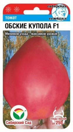 Обские купола