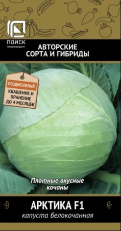 2562
