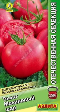 2584