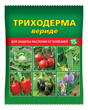 IMG-9812