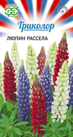 Люпин Триколор гавриш