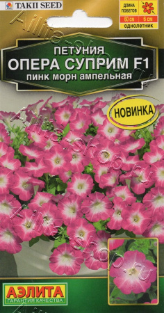 969