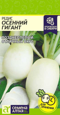 IMG-0104