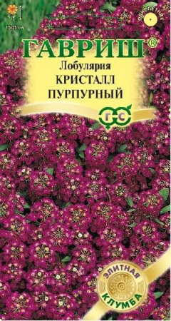 лоб