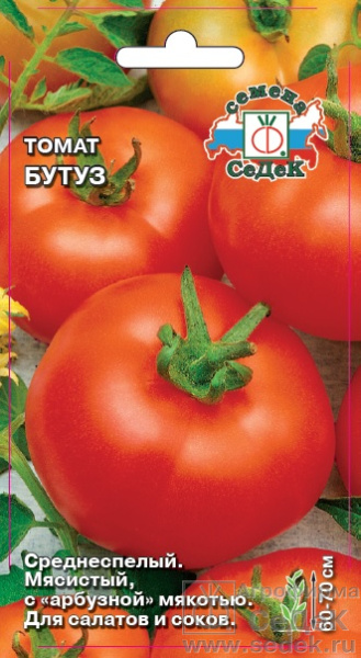 1306
