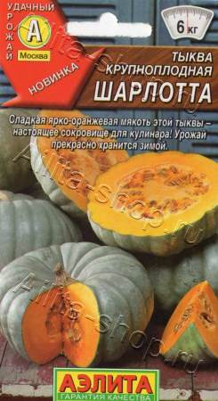 381
