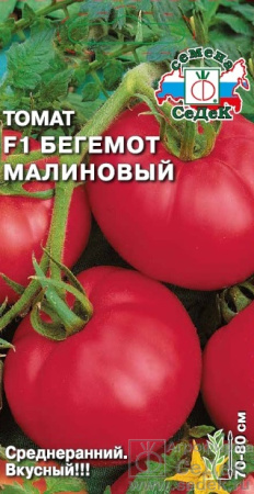 tomat_begemot_malinovyy_f1