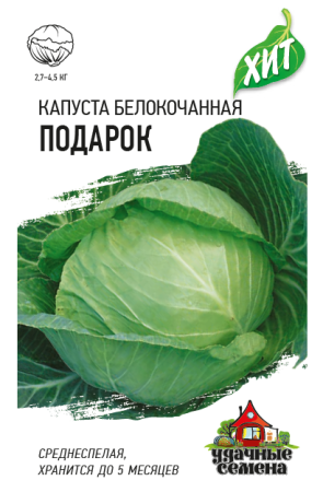 Подарок xит