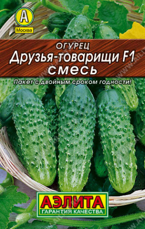 друзья-товарищи