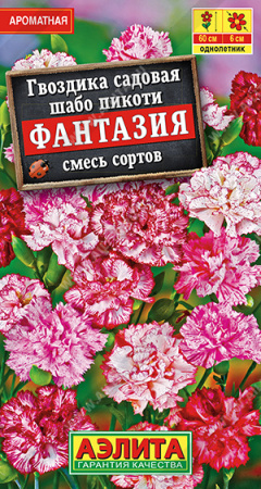 Гвоздика Фантазия аэлита