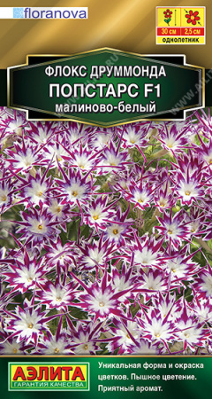 малиново-белый